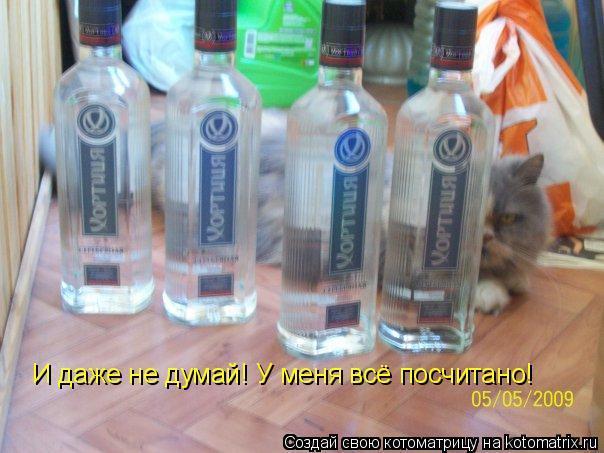 Котоматрица: И даже не думай! У меня всё посчитано!