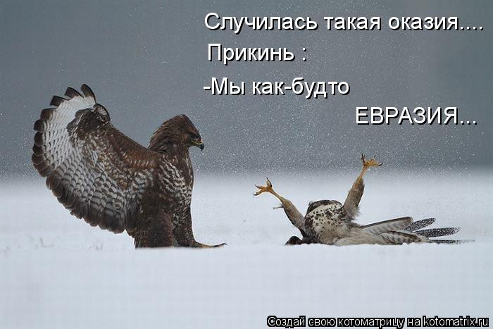 Котоматрица: Случилась такая оказия.... Прикинь : -Мы как-будто  ЕВРАЗИЯ... ЕВРАЗИЯ...
