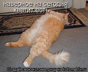 Котоматрица: наверное на сегодня  хватит есть