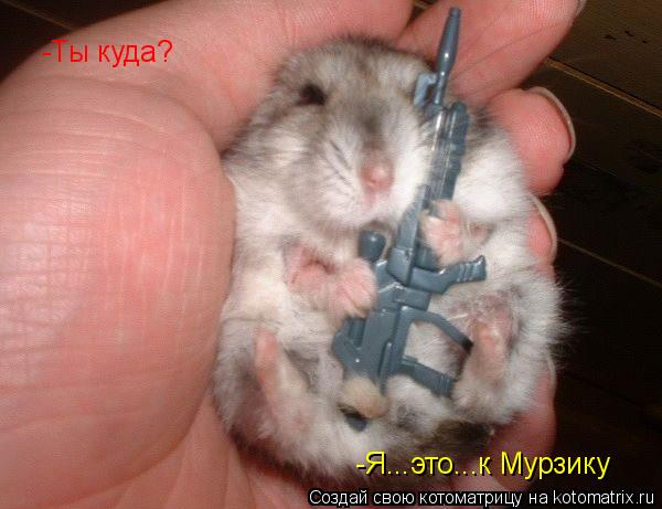 Котоматрица: -Ты куда? -Я...это...к Мурзику