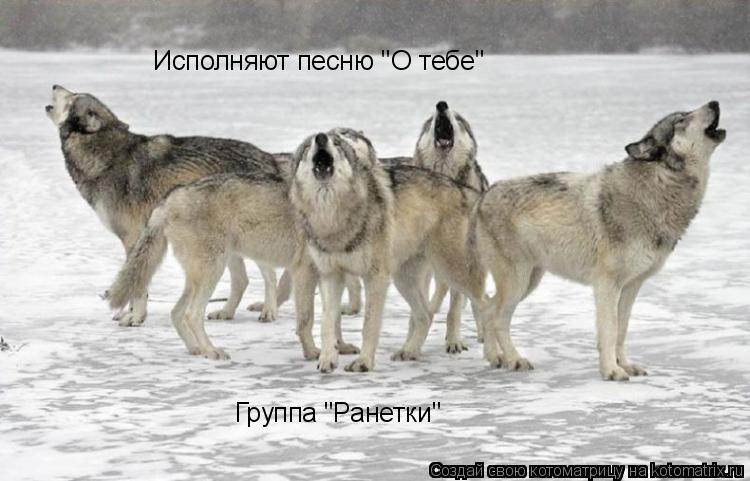 Котоматрица: Исполняют песню "О тебе" Группа "Ранетки"
