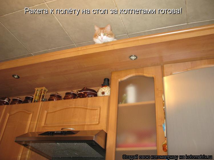 Котоматрица: Ракета к полёту на стол за котлетами готова!