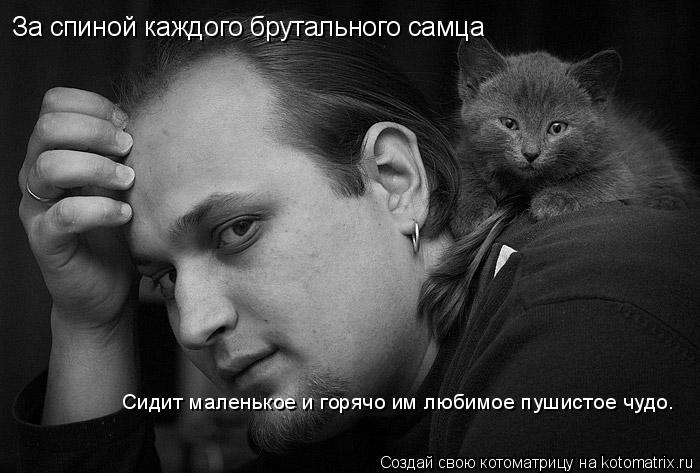 Котоматрица: За спиной каждого брутального самца Сидит маленькое и горячо им любимое пушистое чудо.