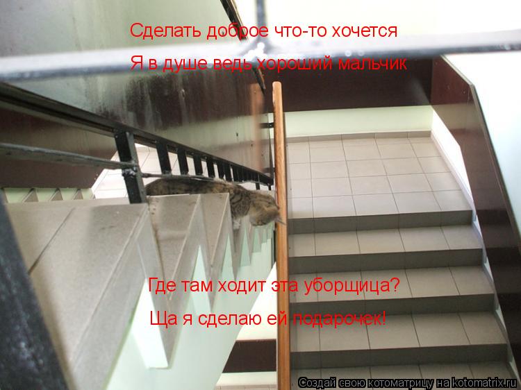 Котоматрица: Сделать доброе что-то хочется Я в душе ведь хороший мальчик Где там ходит эта уборщица? Ща я сделаю ей подарочек!