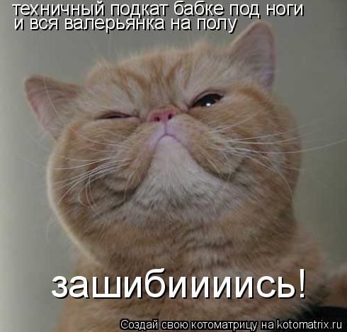 Котоматрица: зашибиииись! техничный подкат бабке под ноги и вся валерьянка на полу