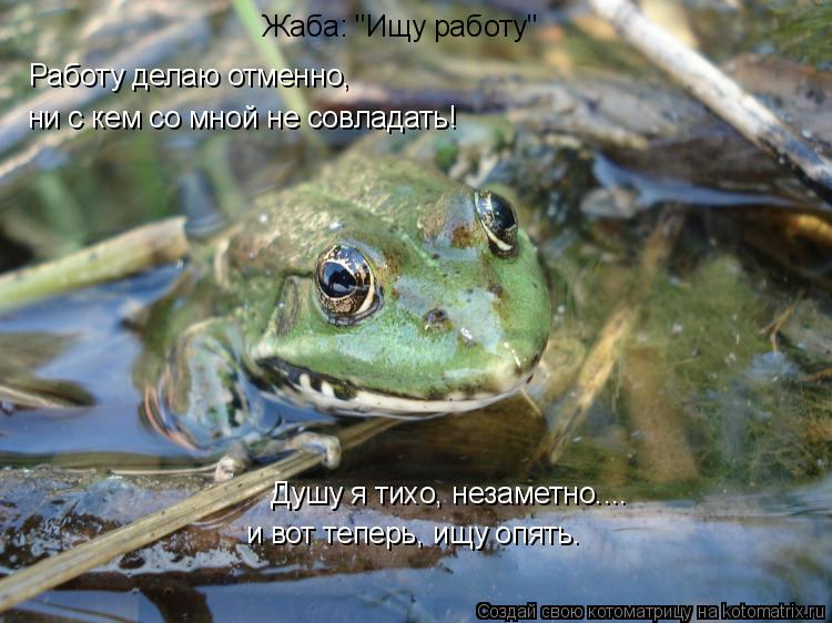 Котоматрица: и вот теперь, ищу опять. Душу я тихо, незаметно.... Жаба: "Ищу работу" Работу делаю отменно, ни с кем со мной не совладать!