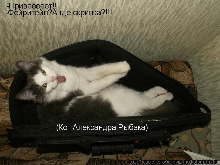 Котоматрица: -Привееееет!!! -Фейритейл?А где скрипка?!!! (Кот Александра Рыбака)