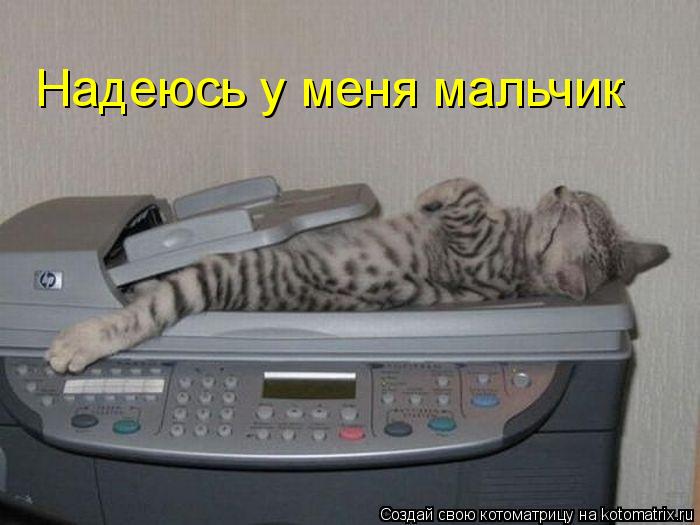 Котоматрица: Надеюсь у меня мальчик