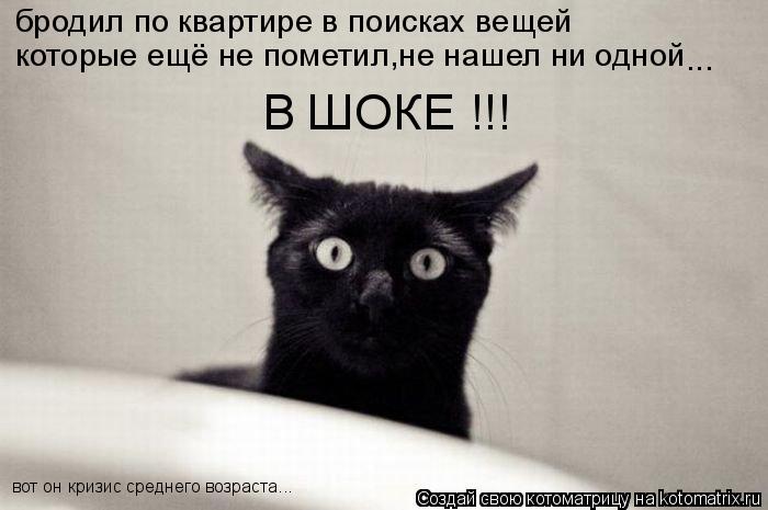 Котоматрица: бродил по квартире в поисках вещей  которые ещё не пометил,не нашел ни одной  В ШОКЕ !!!  вот он кризис среднего возраста... ...