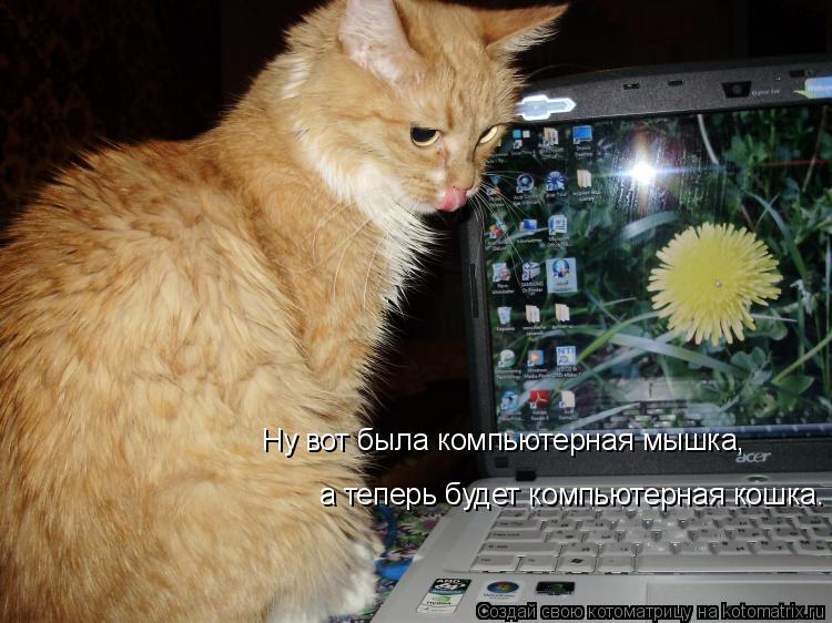 Котоматрица: Ну вот была компьютерная мышка,  а теперь будет компьютерная кошка.