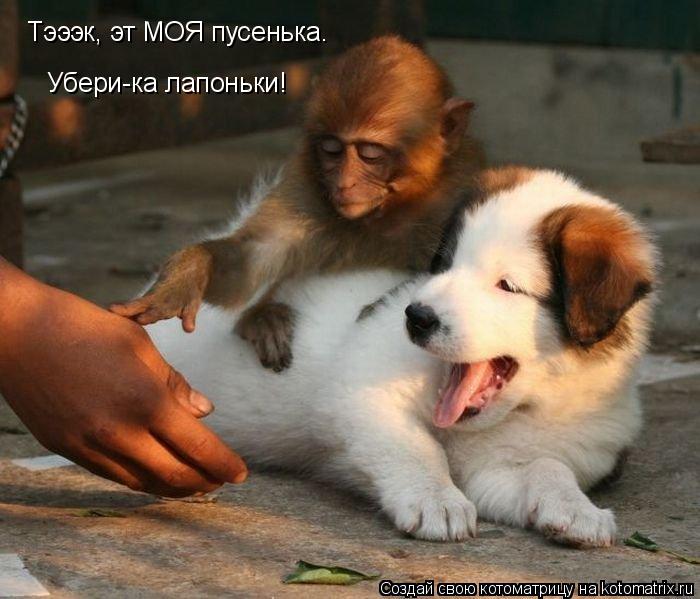 Котоматрица: Тэээк, эт МОЯ пусенька. Убери-ка лапоньки!