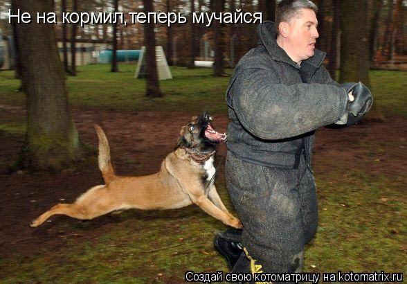 Котоматрица: Не на кормил,теперь мучайся
