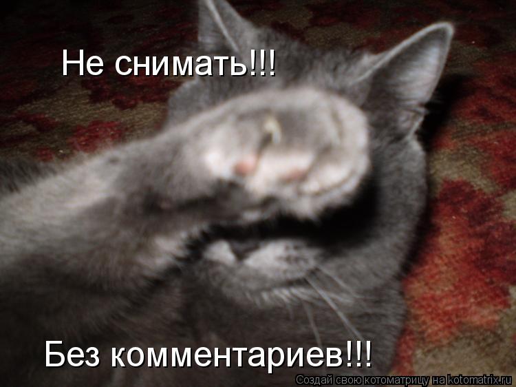 Котоматрица: Не снимать!!! Без комментариев!!!