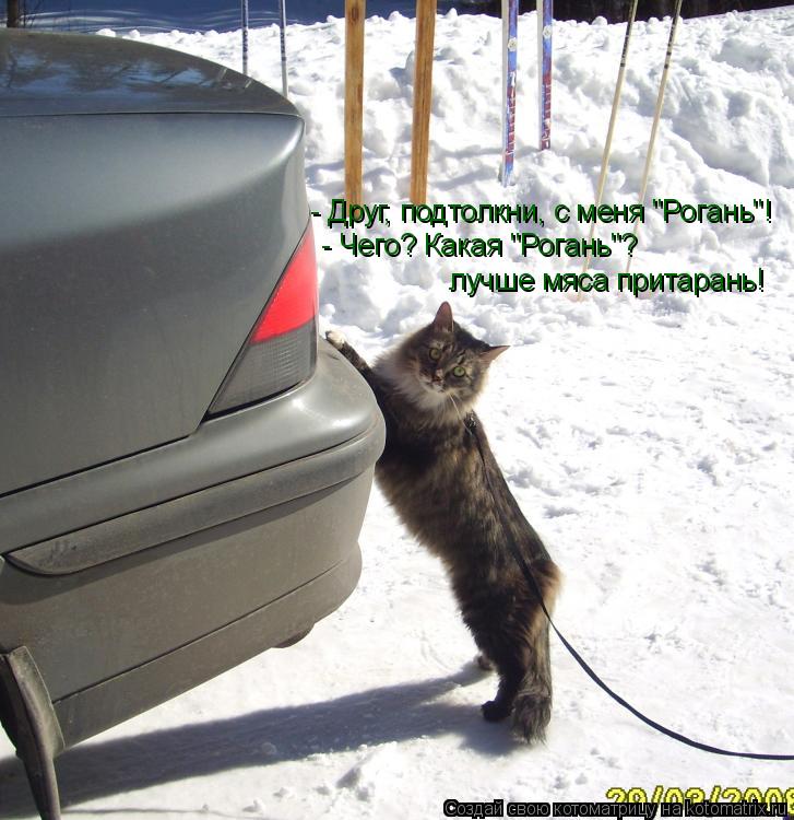 - Друг, подтолкни, с меня "Рогань"! - Чего? Какая "Рогань"? лучше мяса притарань!... Котоматрица: - Друг, подтолкни, с меня "Рогань"! - Чего? Какая "Рогань"? лучше мяса притарань!