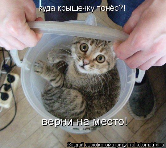 Котоматрица: куда крышечку понёс?! верни на место!