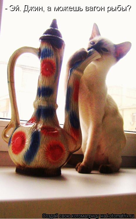 Котоматрица: - Эй. Джин, а можешь вагон рыбы?