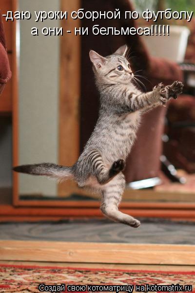 Котоматрица: -даю уроки сборной по футболу а они - ни бельмеса!!!!!