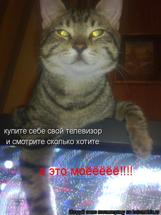 Котоматрица: купите себе свой телевизор и смотрите сколько хотите а это моёёёёё!!!!