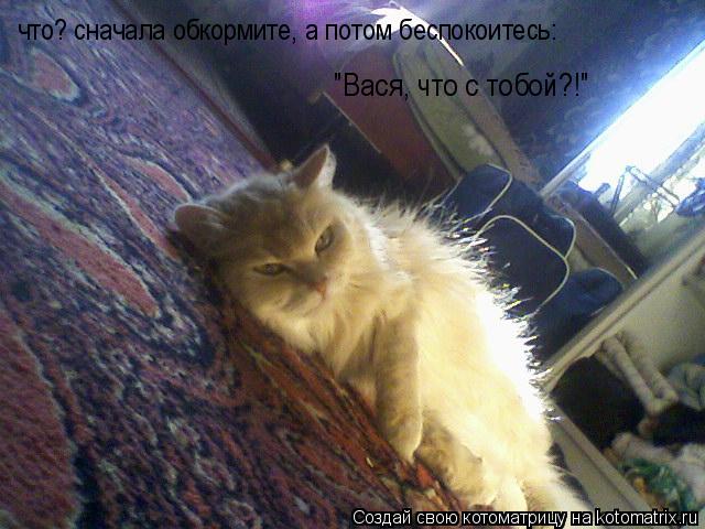 Котоматрица: что? сначала обкормите, а потом беспокоитесь: "Вася, что с тобой?!"