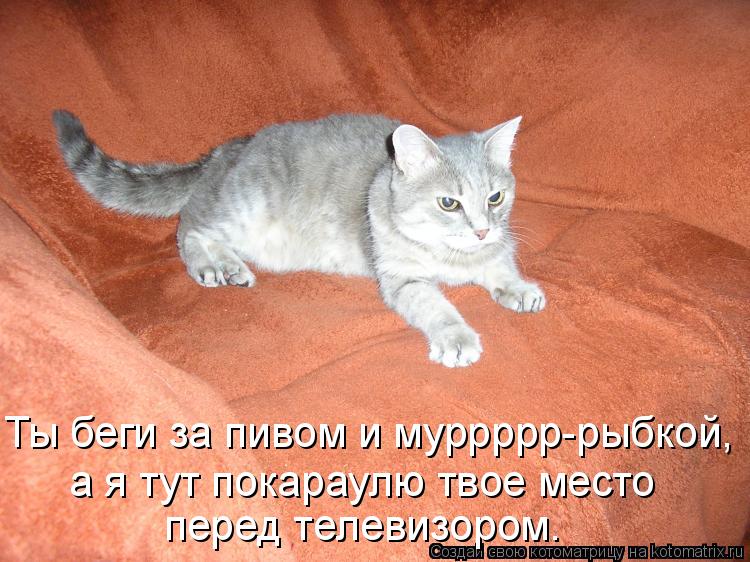 Котоматрица: Ты беги за пивом и муррррр-рыбкой, а я тут покараулю твое место перед телевизором.