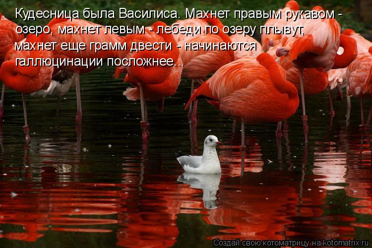 Котоматрица: Кудесница была Василиса. Махнет правым рукавом - озеро, махнет левым - лебеди по озеру плывут, махнет еще грамм двести - начинаются галлюцина