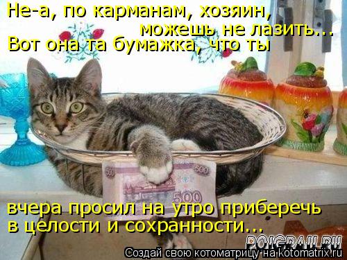 Котоматрица: Не-а, по карманам, хозяин,  можешь не лазить... Вот она та бумажка, что ты вчера просил на утро приберечь в целости и сохранности...