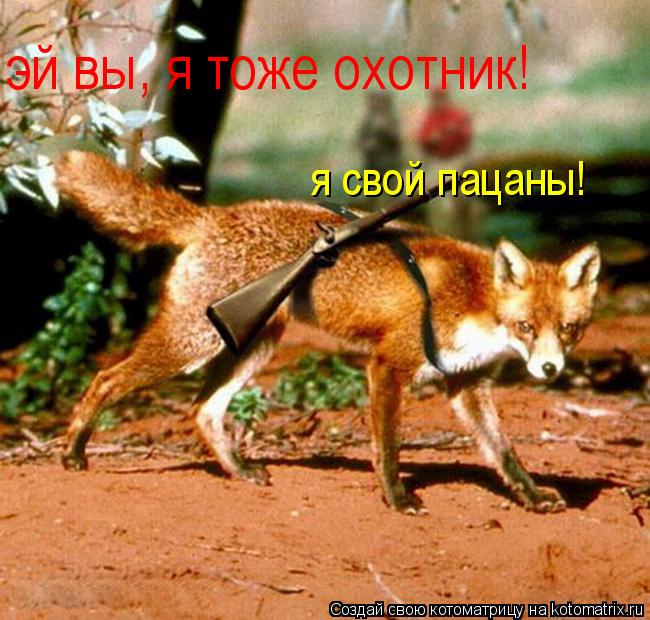 Котоматрица: эй вы, я тоже охотник! я свой пацаны!