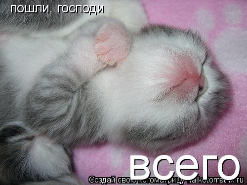 Котоматрица: пошли, господи всего
