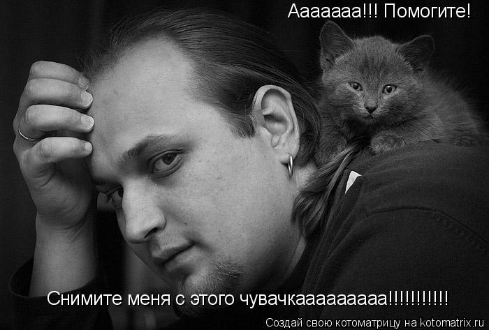 Котоматрица: Ааааааа!!! Помогите! Снимите меня с этого чувачкааааааааа!!!!!!!!!!!