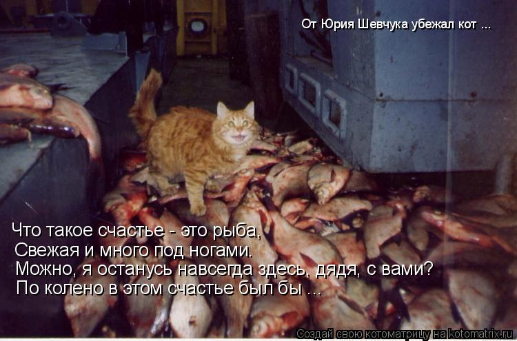 Что такое счастье - это рыба, Свежая и много под ногами. Можно, я останусь навсегда здесь, дядя, с ва... Котоматрица: Что такое счастье - это рыба, Свежая и много под ногами. Можно, я останусь навсегда здесь, дядя, с вами? По колено в этом счастье был бы ... От Юр
