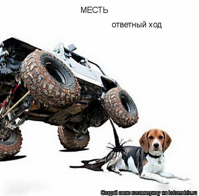 Котоматрица: ответный ход МЕСТЬ