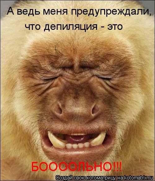 Котоматрица: что депиляция - это БООООЛЬНО!!! А ведь меня предупреждали,