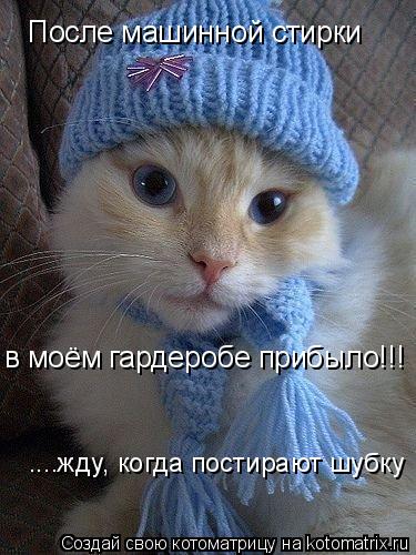Котоматрица: После машинной стирки в моём гардеробе прибыло!!! ....жду, когда постирают шубку