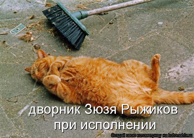 Котоматрица: дворник Зюзя Рыжиков  при исполнении