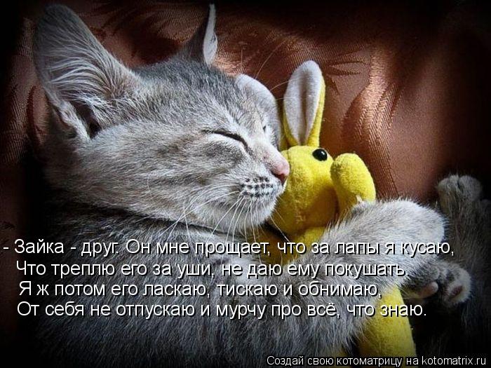Котоматрица: - Зайка - друг. Он мне прощает, что за лапы я кусаю, Что треплю его за уши, не даю ему покушать. Я ж потом его ласкаю, тискаю и обнимаю, От себя не 