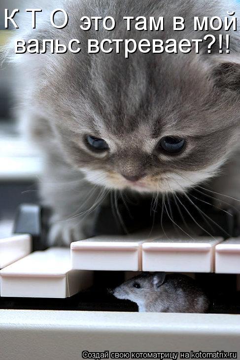 Котоматрица: К Т О  это там в мой вальс встревает?!! вальс встревает?!!