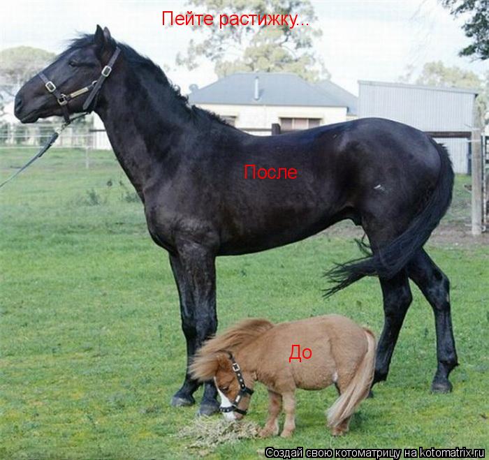 Котоматрица: Пейте растижку... До После
