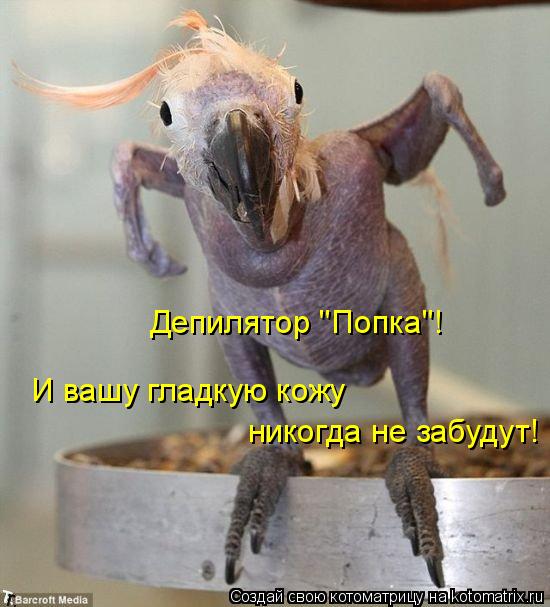 Котоматрица: Депилятор "Попка"! И вашу гладкую кожу никогда не забудут!
