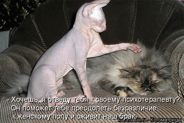 - Хочешь, я отведу тебя к своему психотерапевту? Он поможет тебе преодолеть безразличие к женскому п... Котоматрица: - Хочешь, я отведу тебя к своему психотерапевту? Он поможет тебе преодолеть безразличие к женскому полу и оживит наш брак.