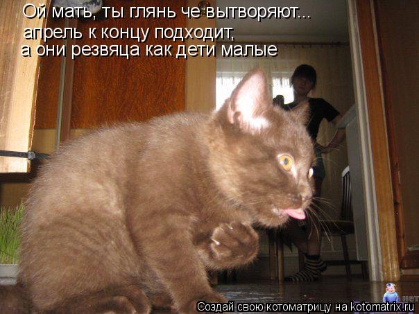 Котоматрица: Ой мать, ты глянь че вытворяют... апрель к концу подходит,  а они резвяца как дети малые