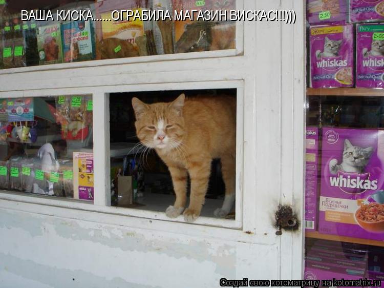Котоматрица: ВАША КИСКА......ОГРАБИЛА МАГАЗИН ВИСКАС!!!)))