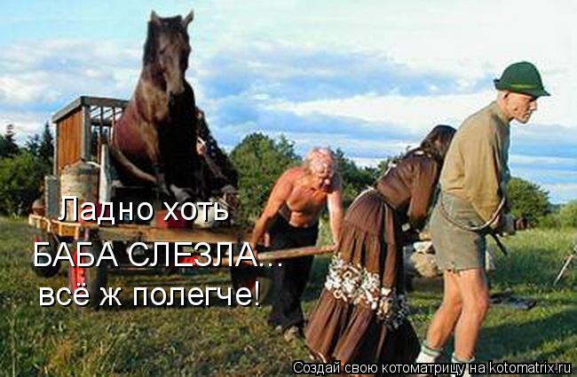 Котоматрица: Ладно хоть БАБА СЛЕЗЛА... всё ж полегче!