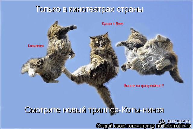 Только в кинотеатрах страны Смотрите новый триллер-Коты-нинзя Блохастик Кузька и Джек Вышли на тропу ... Котоматрица: Только в кинотеатрах страны Смотрите новый триллер-Коты-нинзя Блохастик Кузька и Джек Вышли на тропу войны!!!!