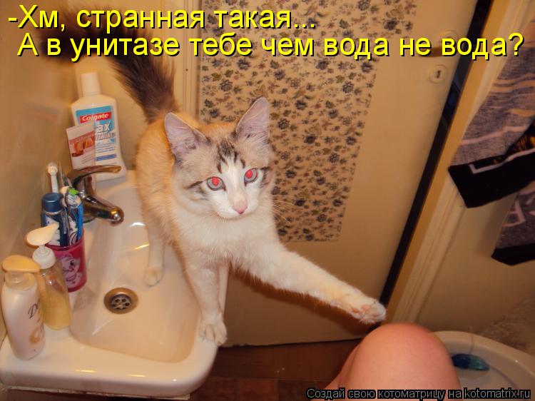 Котоматрица: -Хм, cтранная такая...  А в унитазе тебе чем вода не вода?