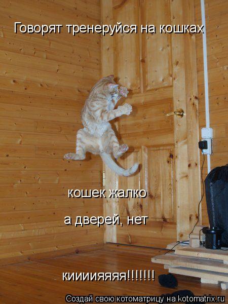 Котоматрица: Говорят тренеруйся на кошках  кошек жалко а дверей, нет киииияяяя!!!!!!!