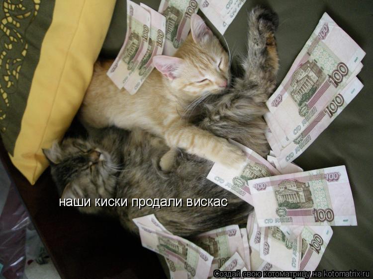 Котоматрица: наши киски продали вискас