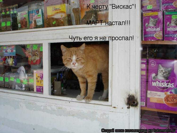 Котоматрица: К черту "Вискас"! МАРТ настал!!! Чуть его я не проспал!