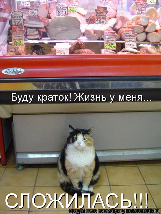 Буду краток! Жизнь у меня... СЛОЖИЛАСЬ!!!... Котоматрица: Буду краток! Жизнь у меня... СЛОЖИЛАСЬ!!!