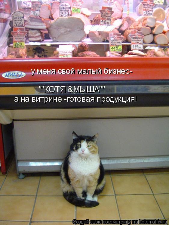 Котоматрица: а на витрине -готовая продукция! ""КОТЯ &МЫША"" у меня свой малый бизнес-