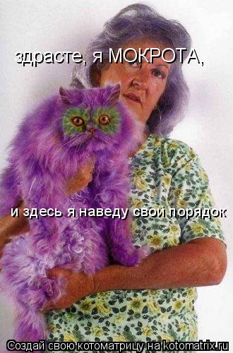 Котоматрица: здрасте, я МОКРОТА,  и здесь я наведу свой порядок